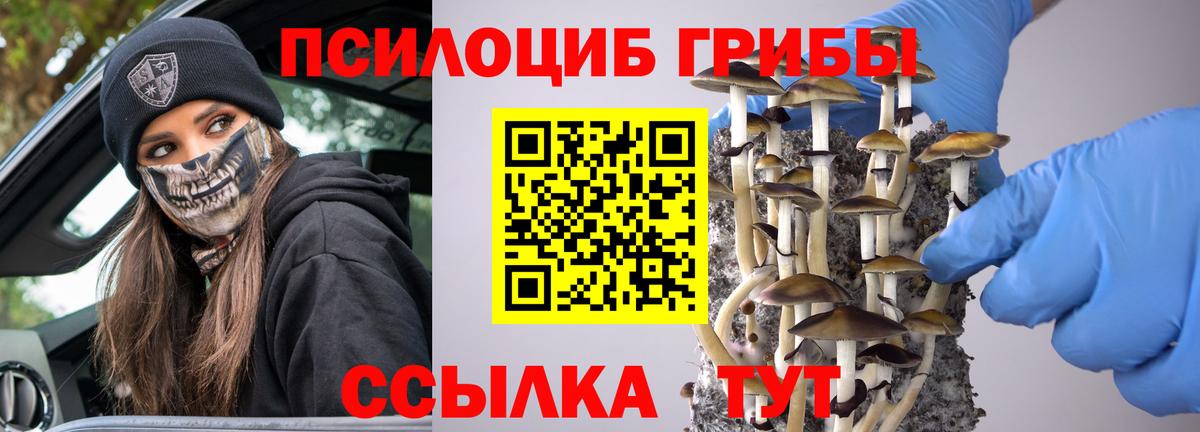 Галлюциногенные грибы прущие грибы Видное